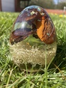 IMG-4808.jpg